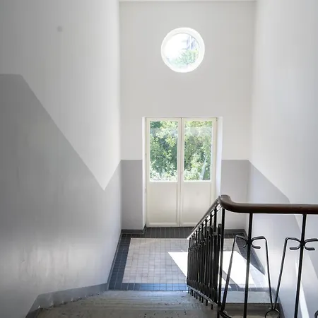 Trendy Kentmanni, Center *